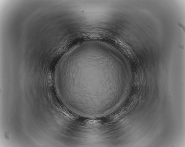 X0000094420465200711291554