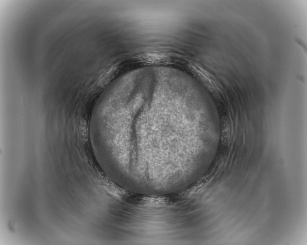 X0000094420469200711291554