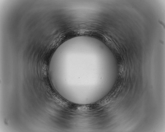 X0000094420470200711291554