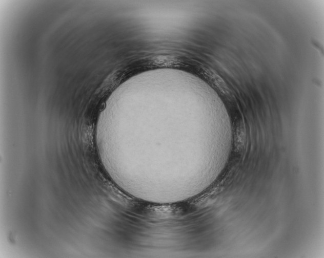 X0000094420473200711291554