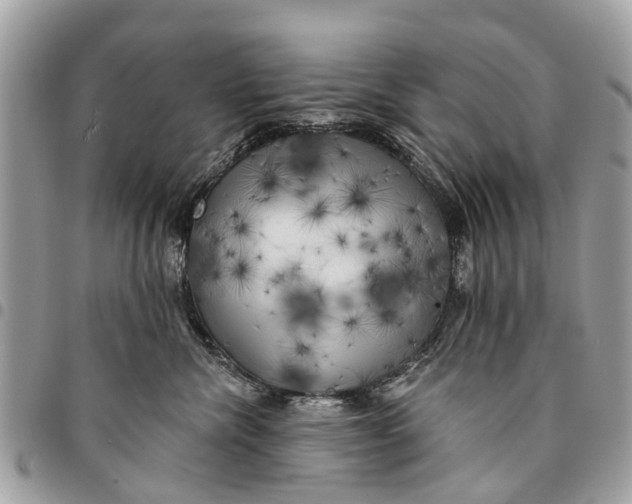 X0000094420476200711291554