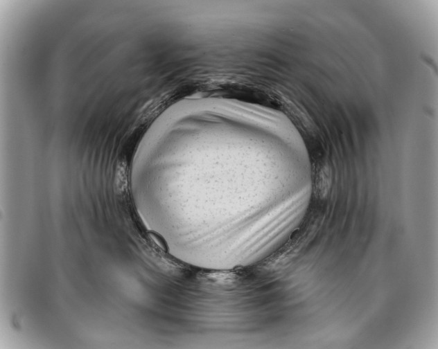 X0000094420478200711291554