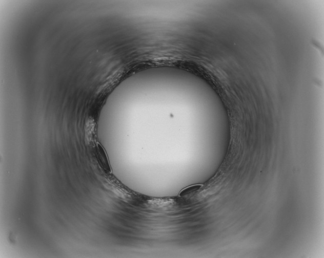 X0000094420480200711291554