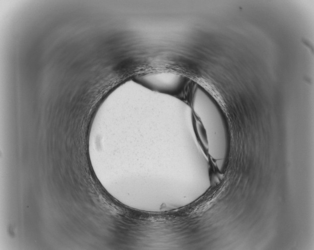 X0000094420481200711291553