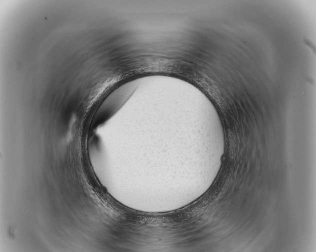 X0000094420482200711291553