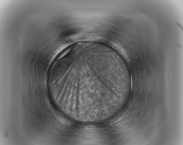 X0000094420483200711291553