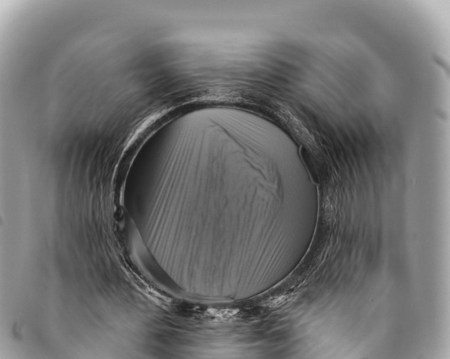 X0000094420484200711291553