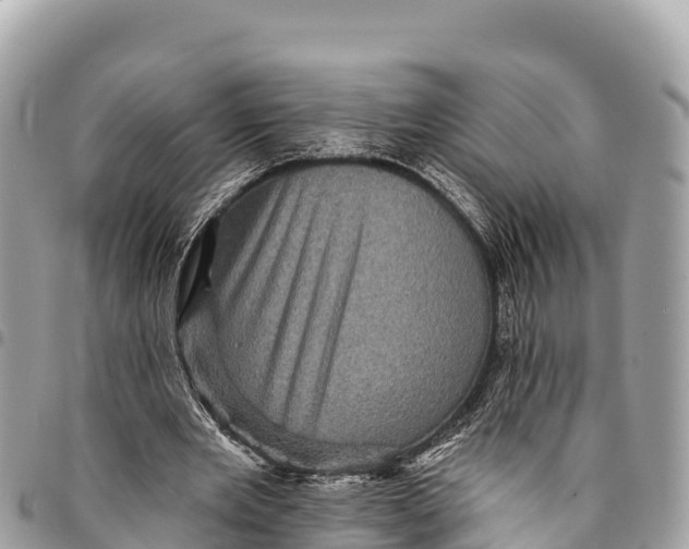 X0000094420485200711291553