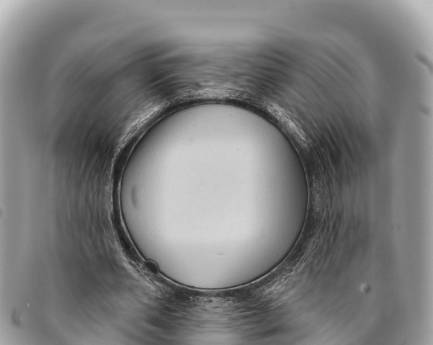 X0000094420486200711291553