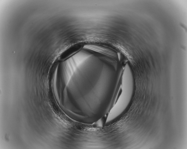 X0000094420488200711291553