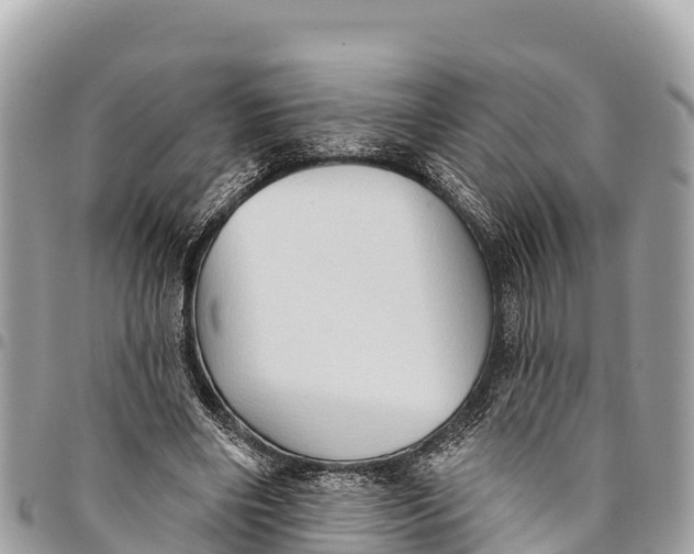 X0000094420490200711291553