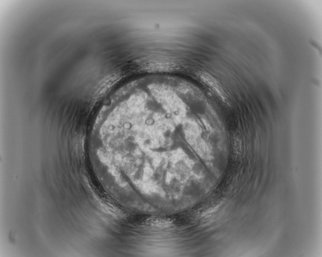 X0000094420491200711291553