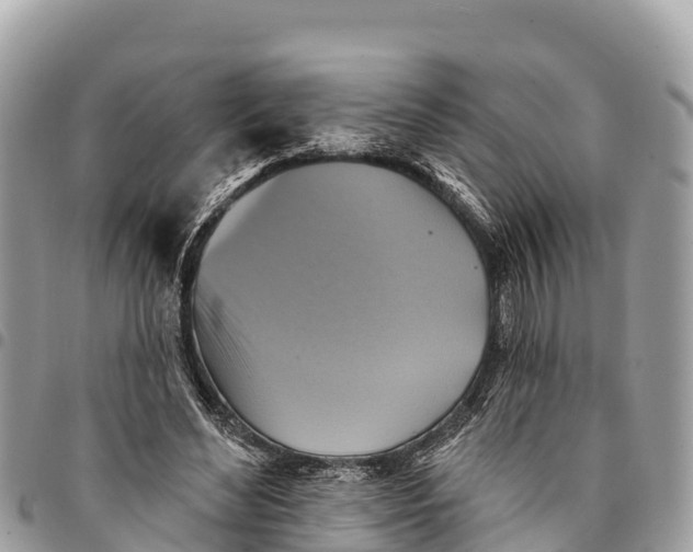 X0000094420492200711291553