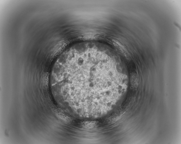 X0000094420495200711291553