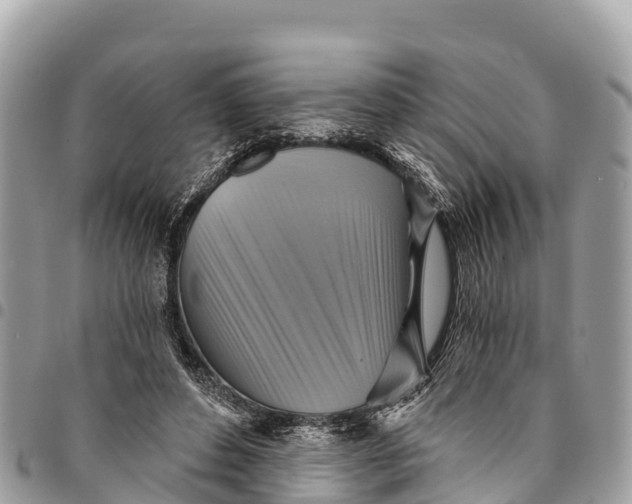 X0000094420496200711291553