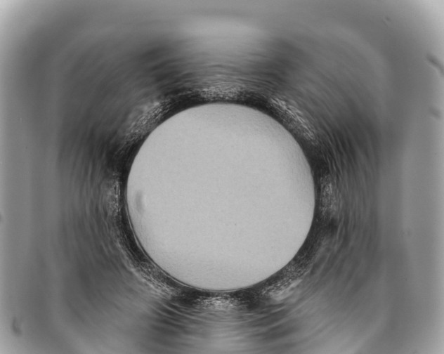 X0000094420498200711291553