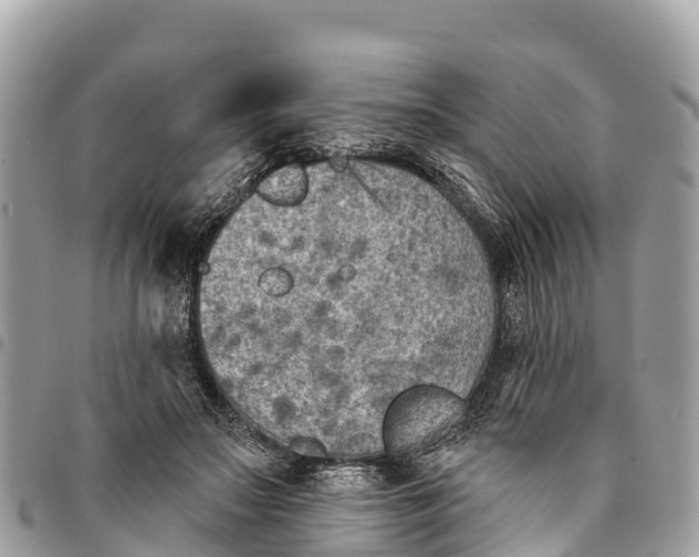 X0000094420499200711291553