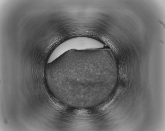 X0000094420501200711291553