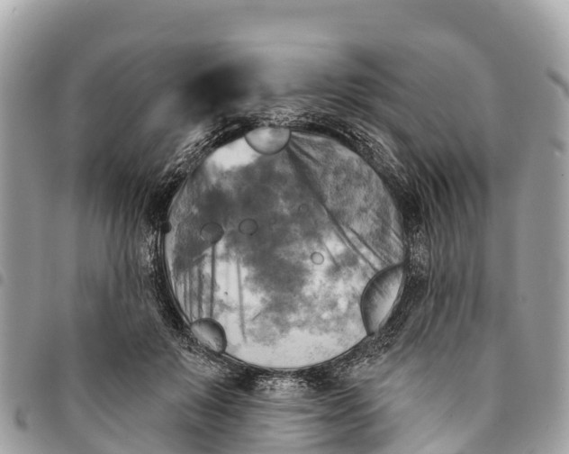 X0000094420503200711291553