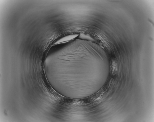 X0000094420504200711291553