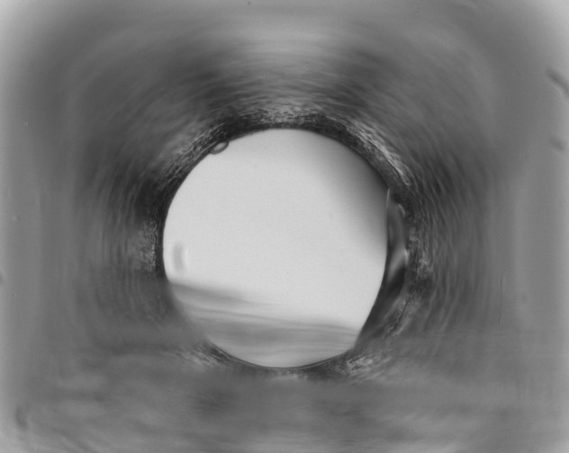 X0000094420505200711291553