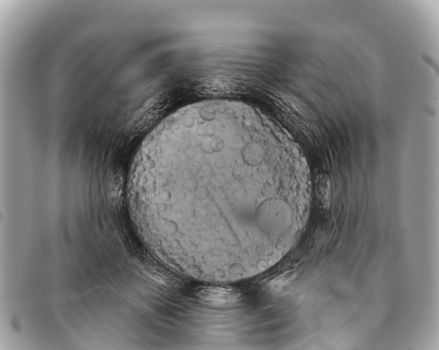 X0000094420507200711291553