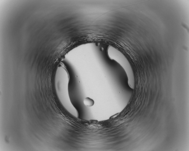 X0000094420508200711291553