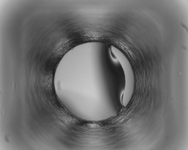 X0000094420509200711291553