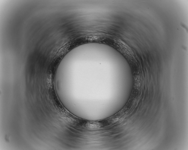 X0000094420510200711291553