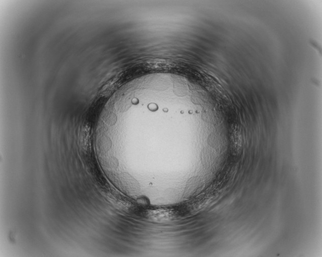 X0000094420511200711291553