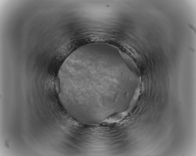 X0000094420513200711291553