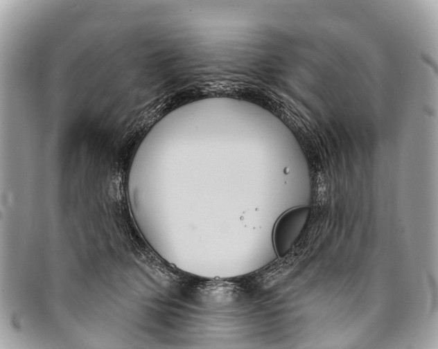 X0000094420514200711291553