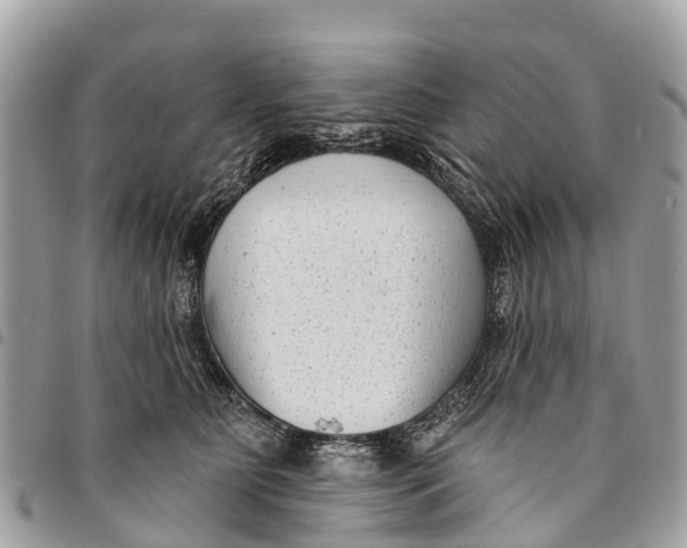 X0000094420515200711291553