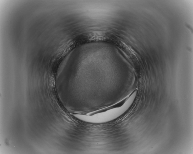 X0000094420517200711291553