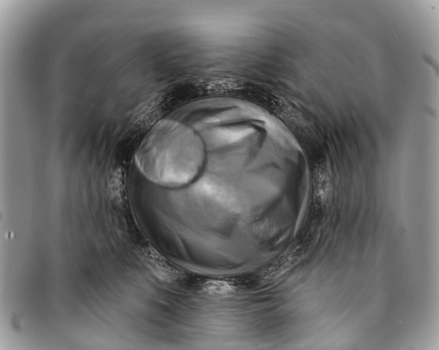 X0000094420519200711291553