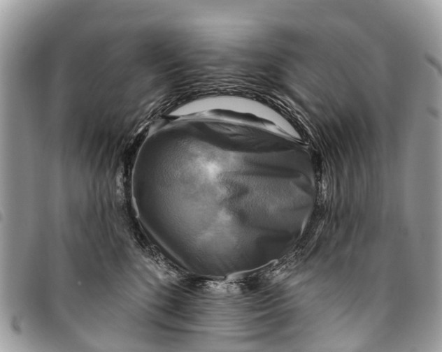 X0000094420520200711291553