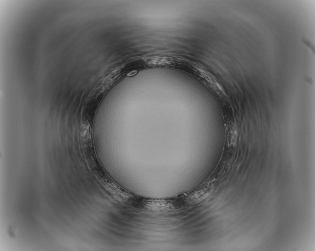 X0000094420521200711291553