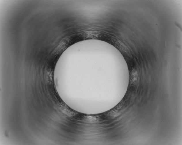 X0000094420522200711291553