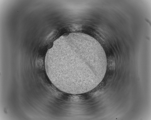 X0000094420523200711291553