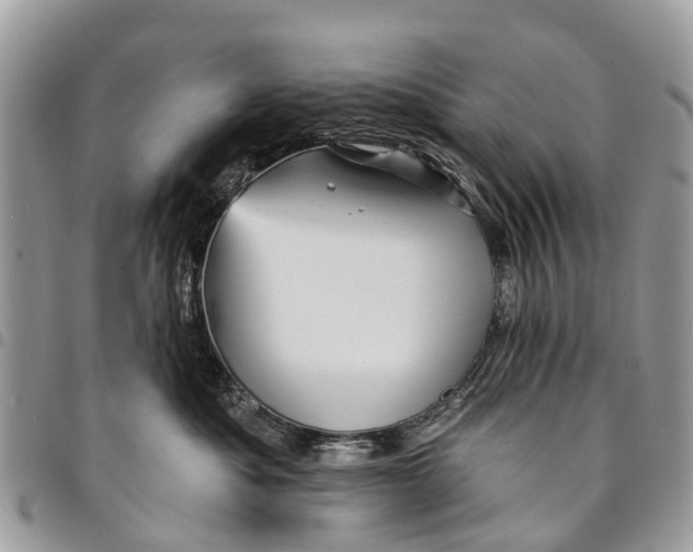 X0000094420525200711291553