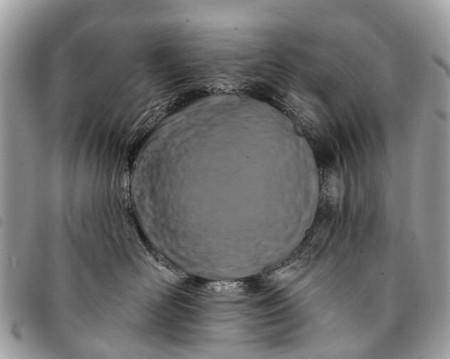 X0000094420526200711291553