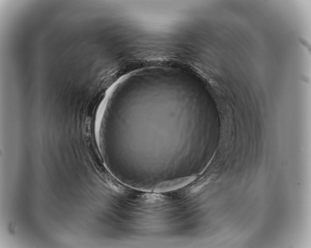 X0000094420528200711291553