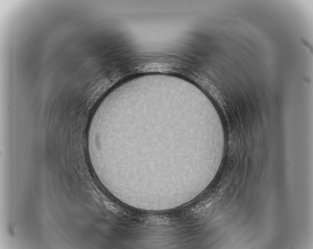 X0000094420529200711291552