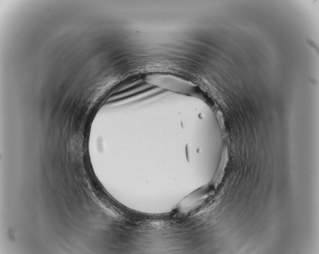 X0000094420530200711291552