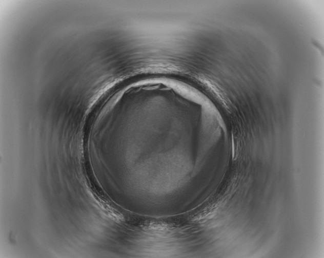 X0000094420531200711291552