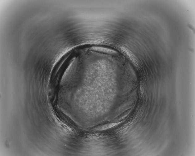 X0000094420532200711291552