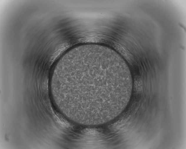 X0000094420534200711291552