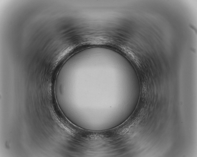 X0000094420535200711291552