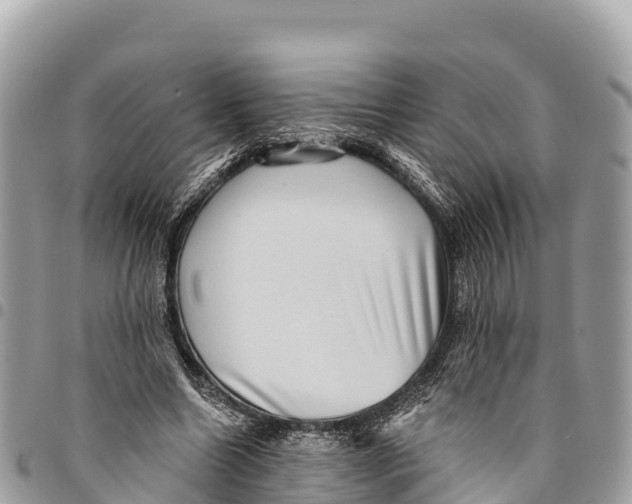 X0000094420538200711291552