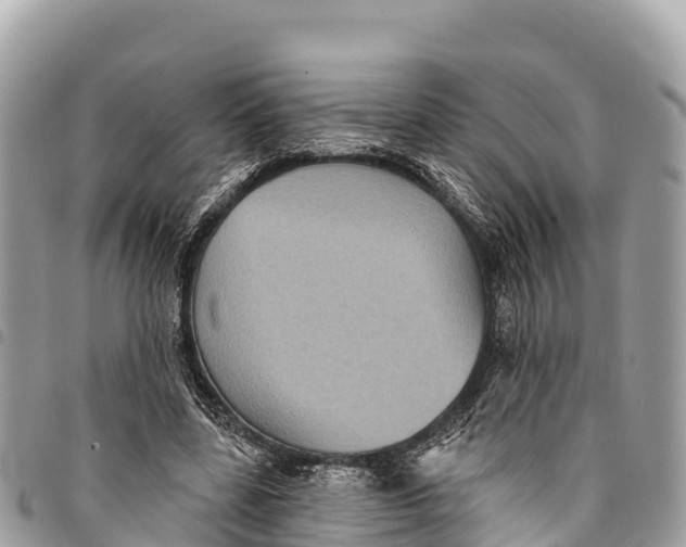 X0000094420539200711291552